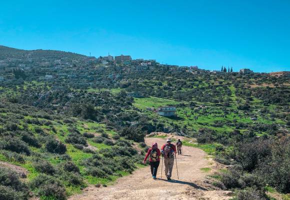 Jerash and Ajloun: A Journey Through Time and Nature in Northern Jordan